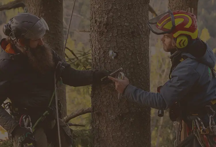 Alsace Aventure Construction