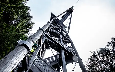 Tour d'observation du parc